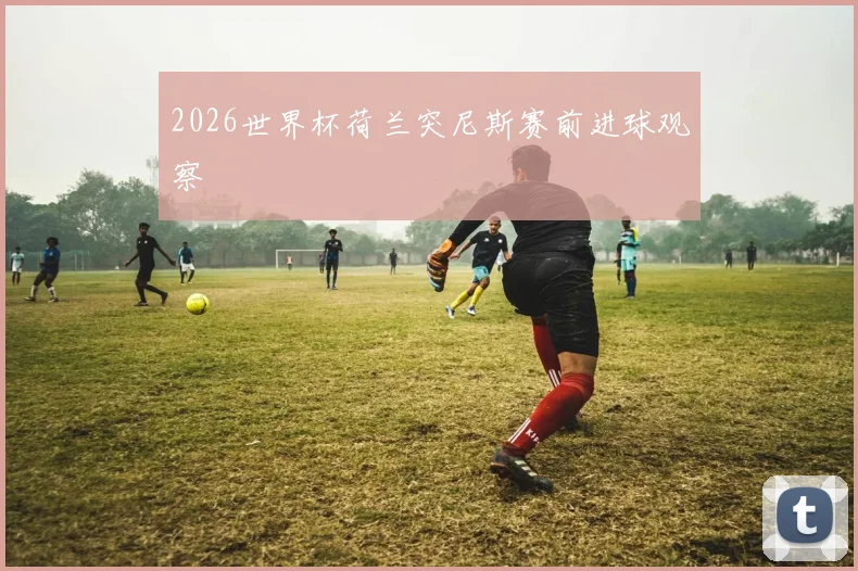 2026世界杯荷兰突尼斯赛前进球观察