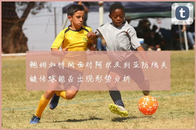 鲍姆加特纳面对阿尔及利亚防线关键传球能否出现形势分析