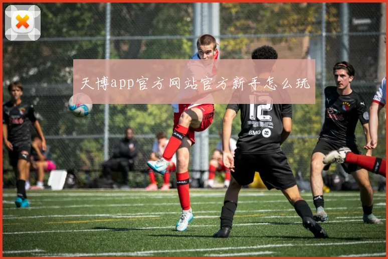 天博app官方网站官方新手怎么玩